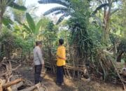 Bhabinkamtibmas Montong Are Dorong Ketahanan Pangan Lewat Pekarangan Bergizi