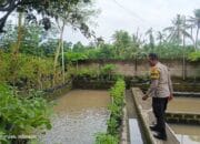 Pemuda Kuripan Utara Dukung Ketahanan Pangan Lokal