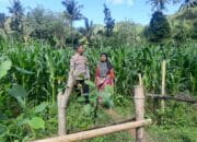 Bhabinkamtibmas Dukung Ketahanan Pangan di Sekotong Timur