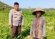 Bhabinkamtibmas Dukung Ketahanan Pangan di Desa Jembatan Gantung