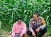 Sinergi Polisi dan Petani di Lembar Perkuat Pangan Nasional