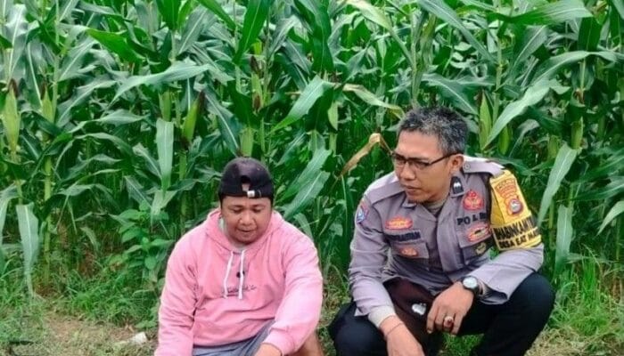 Sinergi Polisi dan Petani di Lembar Perkuat Pangan Nasional