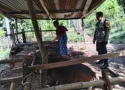 Polri Dorong Swasembada Pangan di Batulayar Barat