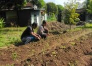 Polri Dukung Ketahanan Pangan Desa Senteluk, Lombok Barat