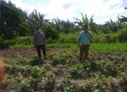 Polri Dorong Ketahanan Pangan Lewat Pendampingan Petani di Lombok Barat