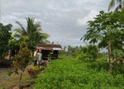 Polri Dukung Ketahanan Pangan di Dusun Tambang Eleh, Lombok Barat