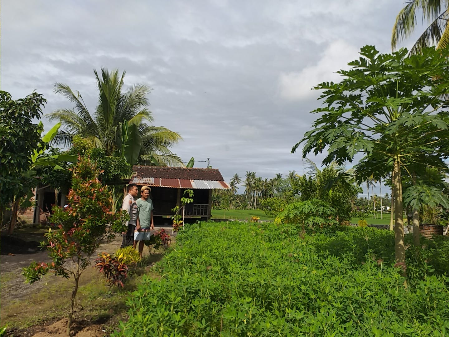 Polri Dukung Ketahanan Pangan di Dusun Tambang Eleh, Lombok Barat