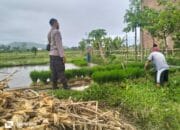 Bhabinkamtibmas Lelede Dukung Ketahanan Pangan di Lombok Barat