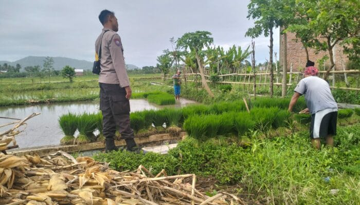 Bhabinkamtibmas Lelede Dukung Ketahanan Pangan di Lombok Barat
