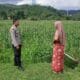 Polsek Lembar Dukung Ketahanan Pangan Lewat Sambang Petani di Sekotong Timur