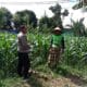 Dukung Ketahanan Pangan, Polisi Ajak Petani Manfaatkan Lahan Kosong