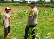 Polres Lombok Barat Dorong Ketahanan Pangan Desa Jembatan Gantung