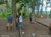 Polsek Lambu Bubarkan dan Bongkar Arena Sabung Ayam di Desa Melayu