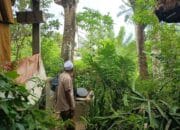 Bhabinkamtibmas Desa Kedaro Dorong Ketahanan Pangan Lewat DDS di Sekotong