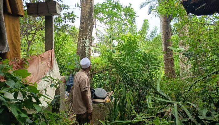Bhabinkamtibmas Desa Kedaro Dorong Ketahanan Pangan Lewat DDS di Sekotong