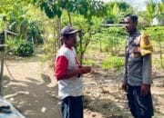 Bhabinkamtibmas Desa Rumak Dukung Ketahanan Pangan Lewat Edukasi Warga