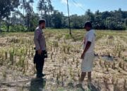 Warga Kuripan Didorong Mandiri Pangan Lewat Pekarangan