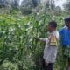 Bhabinkamtibmas Montong Are Dorong Ketahanan Pangan Melalui Pendataan Petani Jagung