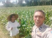 Pemanfaatan Pekarangan Dorong Ketahanan Pangan di Desa Kuripan