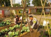 Sinergi Polri dan KWT Pemangket Wujudkan Ketahanan Pangan di Kuripan Utara