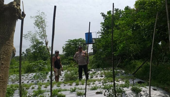 Bhabinkamtibmas Desa Jagaraga Dorong Warga Kuripan Wujudkan Ketahanan Pangan Keluarga