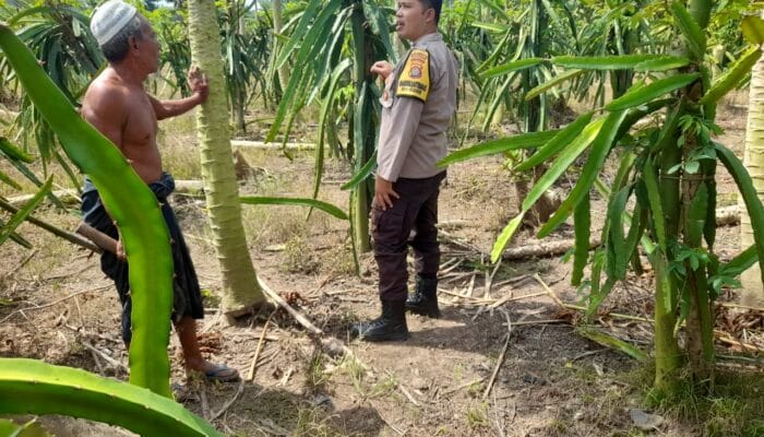 Bhabinkamtibmas Gelogor Dukung Petani Jaga Ketahanan Pangan
