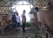 Ketahanan Pangan Dimulai dari Desa: Aksi Bhabinkamtibmas Kuripan Timur