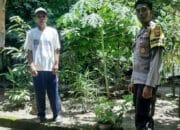 Bengkaung Batulayar Kembangkan Pekarangan Bergizi untuk Ketahanan Pangan