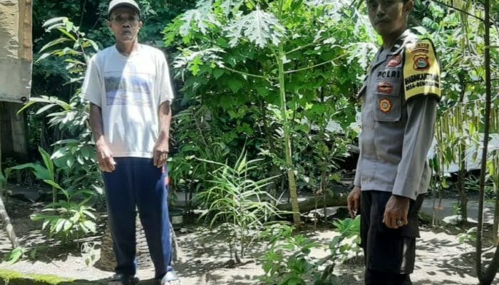 Bengkaung Batulayar Kembangkan Pekarangan Bergizi untuk Ketahanan Pangan