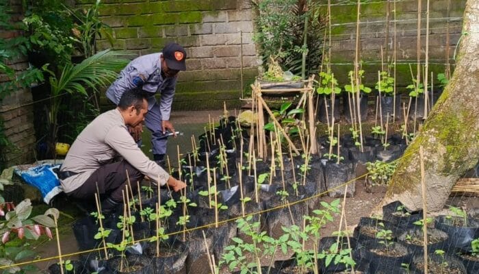 Polres Lobar Intensifkan Patroli Blue Light di Bypass BIL II