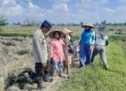 Bhabinkamtibmas Montong Are Dorong Ketahanan Pangan Lewat Pendekatan Humanis