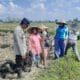 Polri Dukung Swasembada Pangan, Bhabinkamtibmas Montong Are Gandeng Petani