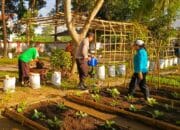 Bhabinkamtibmas Kuripan Utara Dukung Ketahanan Pangan Lewat Edukasi Pertanian