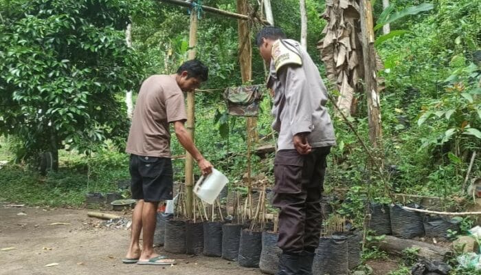 Bhabinkamtibmas Batulayar Dorong Kemandirian Pangan Lewat Pekarangan Bergizi