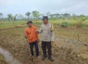 Bhabinkamtibmas Desa Montong Are Dorong Ketahanan Pangan Lokal