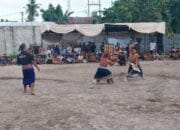 Peresean 2025 Hidupkan Warisan Budaya di Desa Bagik Polak Barat