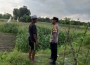 Polri Dorong Pemanfaatan Lahan Pekarangan di Kuripan Utara
