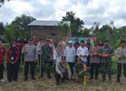 Polsek Batulayar Tanam Jagung Serentak di Sandik, Dorong Swasembada Pangan 2025