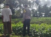 Pemanfaatan Pekarangan untuk Ketahanan Pangan di Dusun Pelan