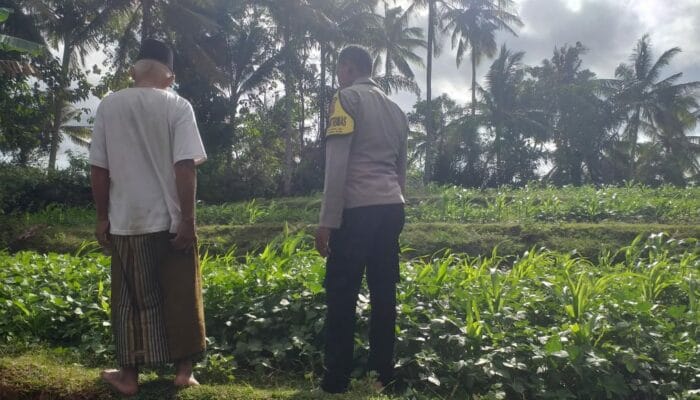 Pemanfaatan Pekarangan untuk Ketahanan Pangan di Dusun Pelan