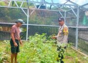 Bhabinkamtibmas Desa Mantun Dampingi Pengelolaan Pekarangan Pangan Bergizi