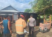 Kios Semi Permanen Terbakar, Polsek Seteluk Turun Tangan Bantu Padamkan Api dan Evakuasi