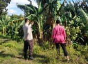 Polri Dukung Ketahanan Pangan di Dusun Gelogor Utara