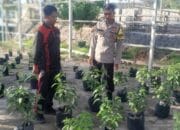 Dukung Program Asta Cita, Bhabinkamtibmas Desa Goa Dampingi Ketahanan Pangan Masyarakat Lewat Pekarangan Bergizi