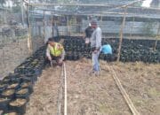 Bhabinkamtibmas Desa Seran Dampingi Warga Kelola Pekarangan Pangan Bergizi