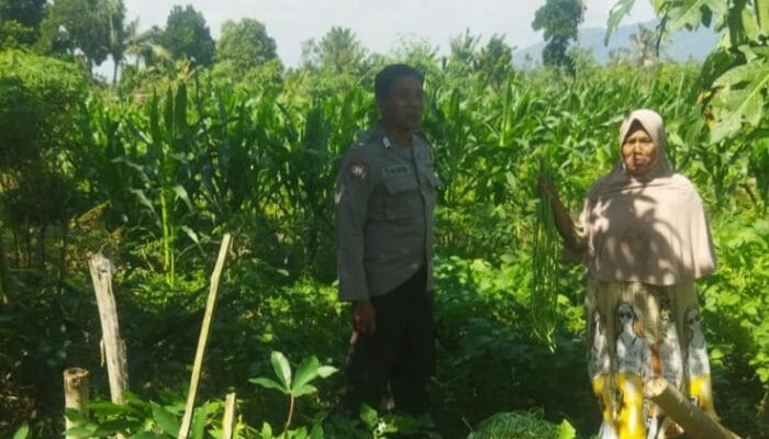 Bhabinkamtibmas Desa Kediri Dorong Ketahanan Pangan Bersama Petani Karang Kuripan
