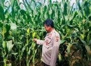 Bhabinkamtibmas Desa Rarak Ronges Dampingi Pengelolaan Pekarangan Pangan Bergizi Musim Tanam Kuartal II