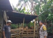 Bhabinkamtibmas Kuripan Timur Dorong Warga Aktif dalam Program Ketahanan Pangan