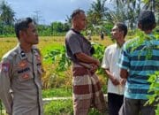 Bhabinkamtibmas Desa Rumak Perkuat Sinergi Petani Dukung Ketahanan Pangan