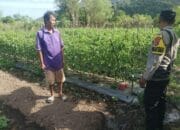 Bhabinkamtibmas Desa Benete Dampingi Warga dalam Pengelolaan Pekarangan Pangan Bergizi